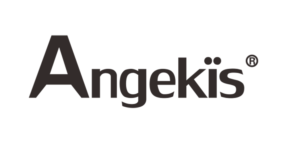 Panopto Partner - Angekis